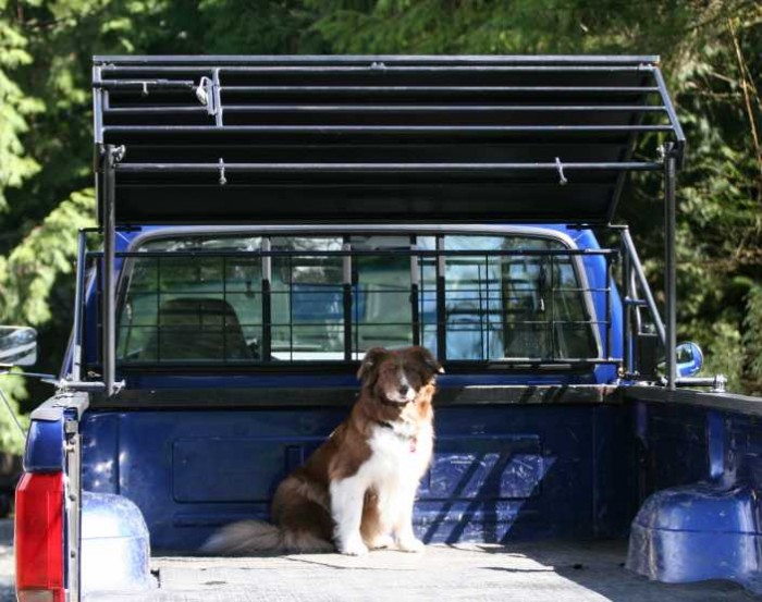 truck bed kennel