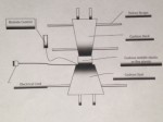 Picture for patent available