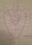 Picture for patent available