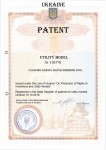 Picture for patent available