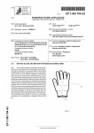 Picture for patent available