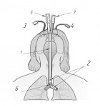 Picture for patent available