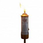 Picture for patent available