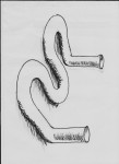 Picture for patent available
