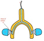 Picture for patent available