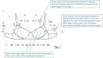 Picture for patent available