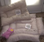 Picture for patent available