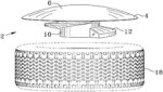 Picture for patent available