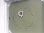 Picture for patent available