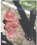 Picture for patent available