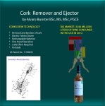 Picture for patent available