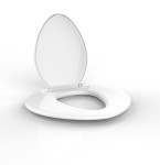 Picture for patent available