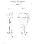 Picture for patent available