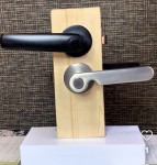 Picture for patent available