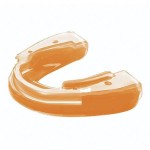 Picture for patent available