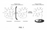 Picture for patent available